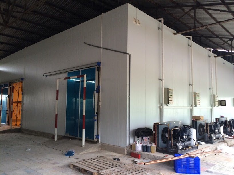 Làm kho lạnh đạt chuẩn - Thi công chuyên nghiệp, chất lượng