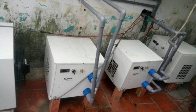 Công ty TNHH Điện Lạnh Hà Bắc là đơn vị chuyên cung cấp dịch vụ tư vấn thiết kế, lắp đặt hệ thống máy làm lạnh nước hồ cá